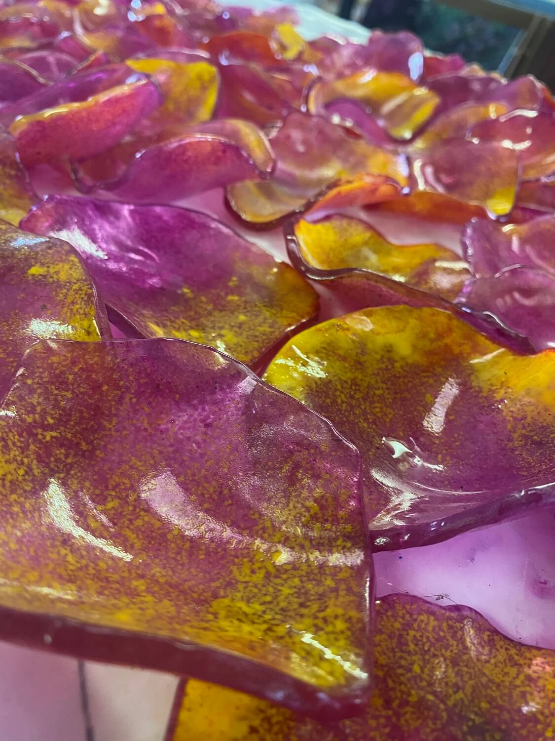 Milking Palour Petals