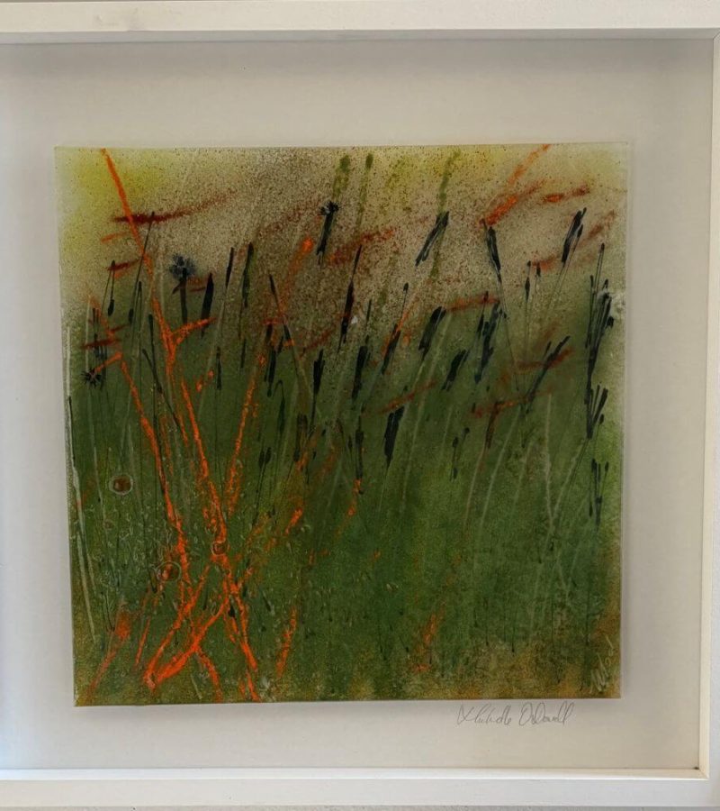 Reeds